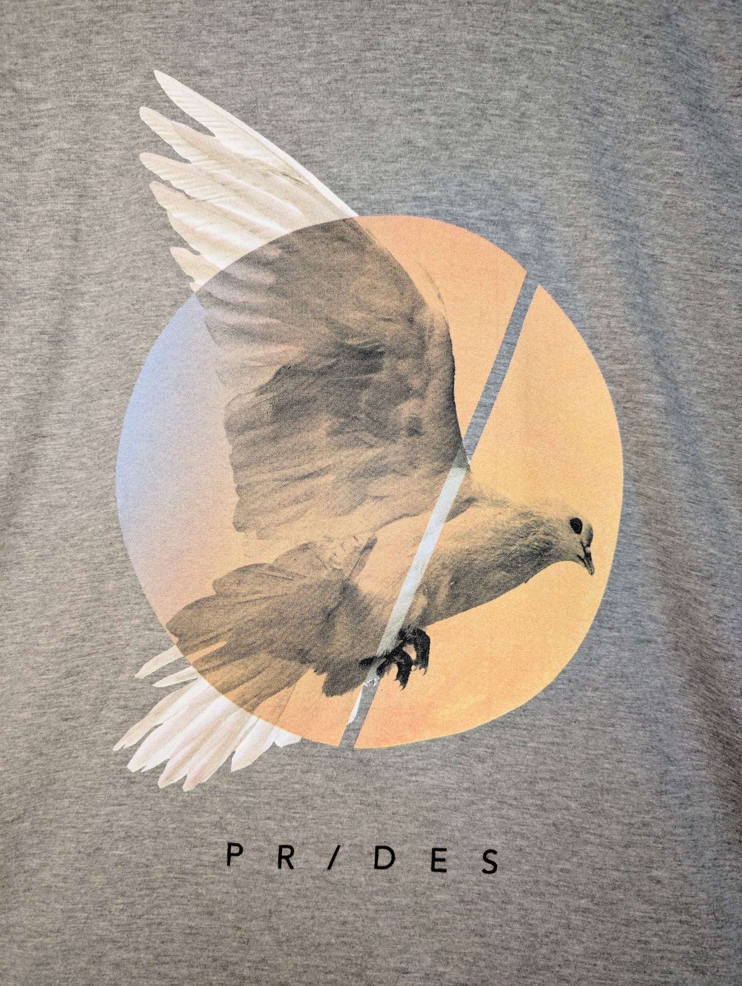 PRIDES Dove T-Shirt